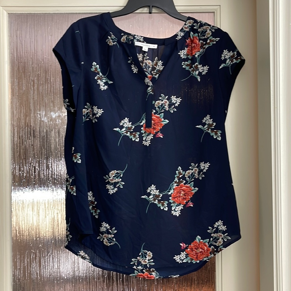 Fun2fun Blouse XL stitch fix